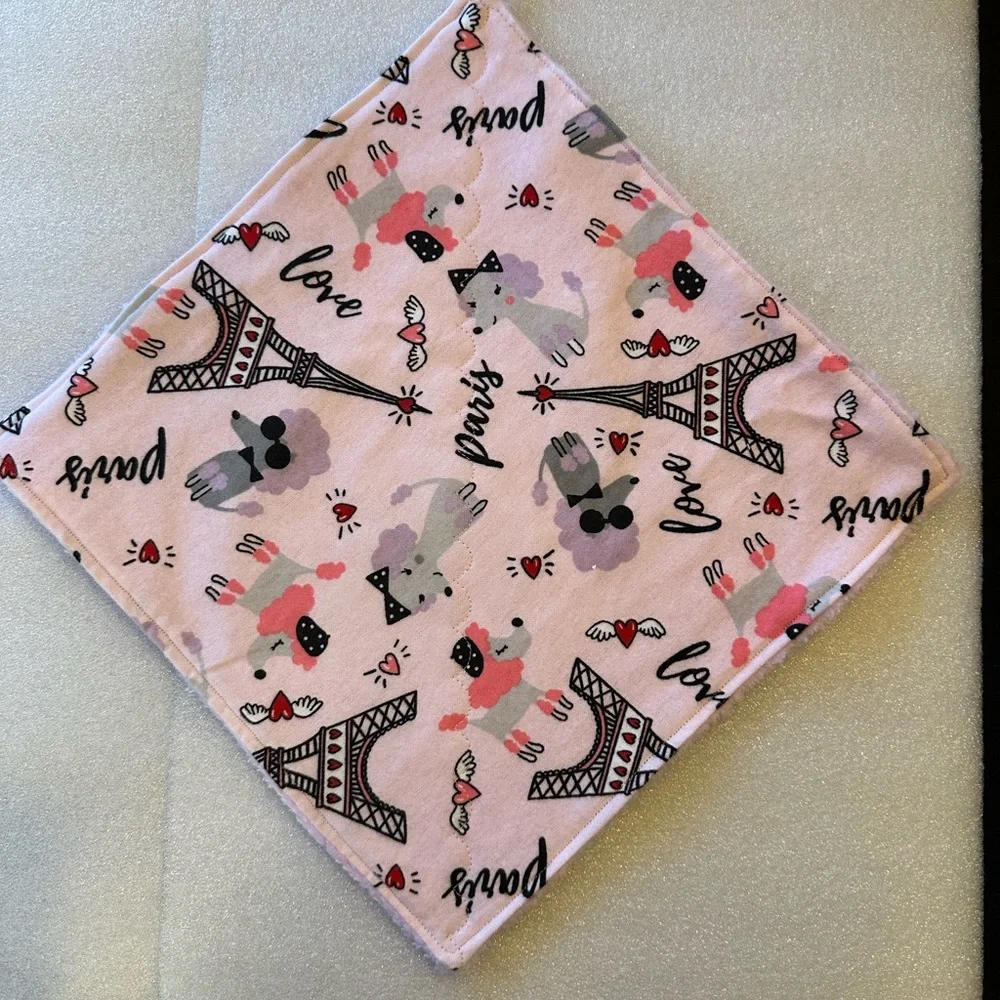 NEW! Softy Cloth Paris Pattern
